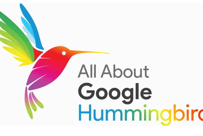 Hiểu về thuật toán Google Hummingbird và ứng dụng